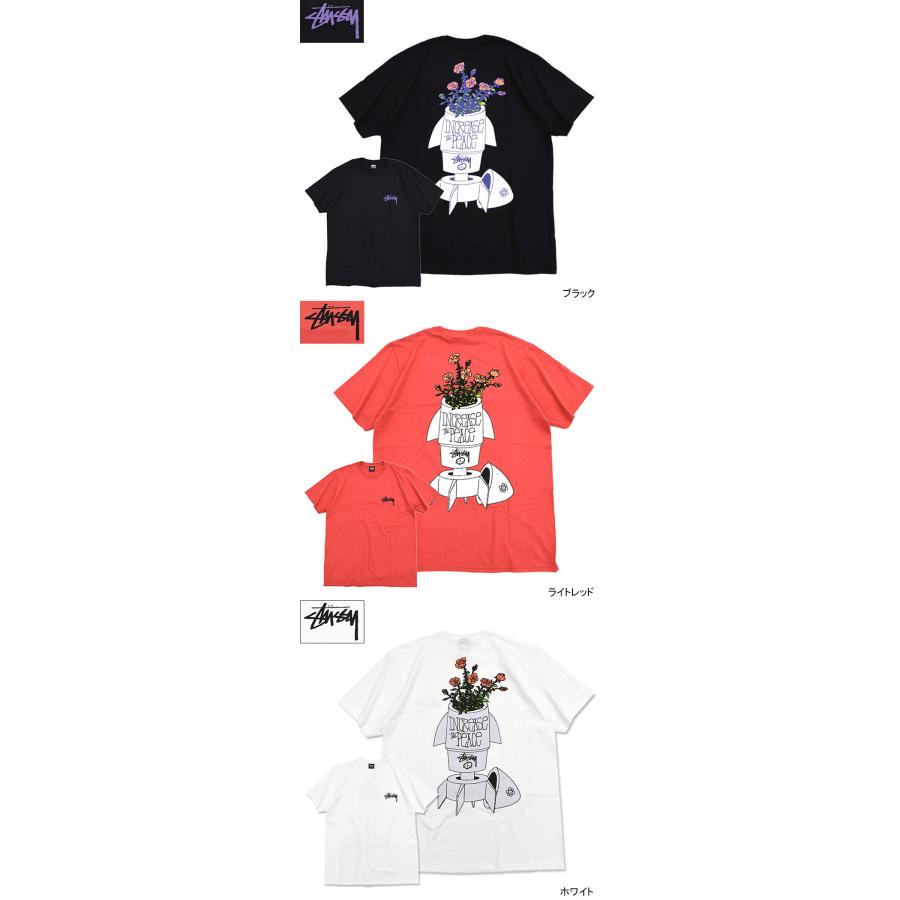 STUSSY ステューシー Tシャツ 半袖 メンズ Flower Bomb ( stussy