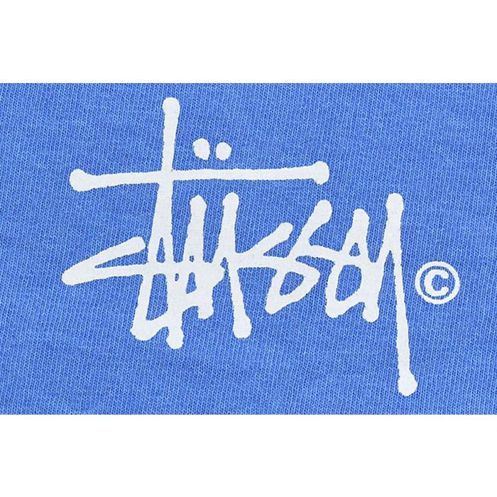 STUSSY（ステューシー） Tシャツ 半袖 メンズ IST Venus Pigment Dyed