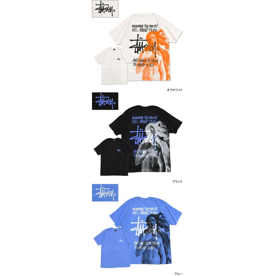 STUSSY ステューシー Tシャツ 半袖 メンズ IST Venus Pigment