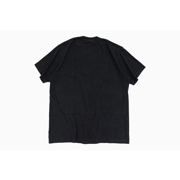 STUSSY（ステューシー） Tシャツ 半袖 メンズ Venus Oval Pigment Dyed