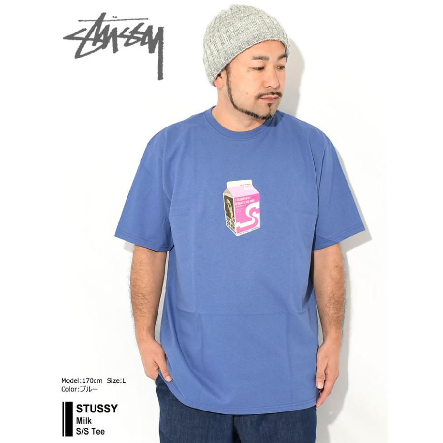 新品　STUSSY スチューシー　Tシャツ　L 水色 STUSSY（ステューシー） Tシャツ 半袖 メンズ Milk ( stussy tee T