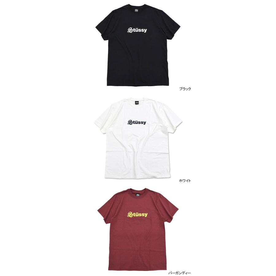 STUSSY ステューシー Tシャツ 半袖 メンズ Reformed ( stussy tee T