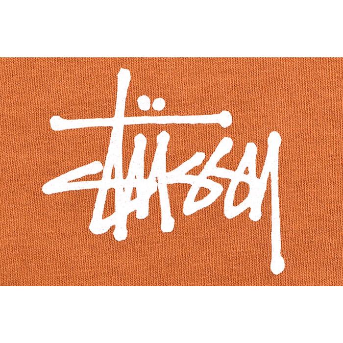 STUSSY（ステューシー） Tシャツ 半袖 メンズ Built In USA Pigment