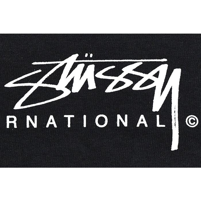 STUSSY（ステューシー） Tシャツ 半袖 メンズ Smooth 80 ( stussy tee