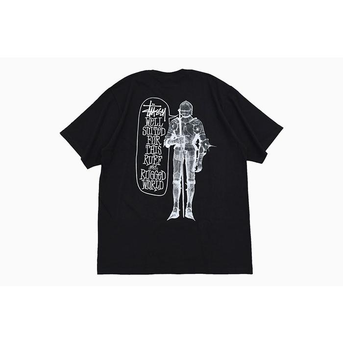 STUSSY ステューシー Tシャツ 半袖 メンズ Well Suited ( stussy