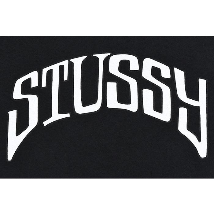 STUSSY（ステューシー） Tシャツ 半袖 メンズ Arched Pigment Dyed
