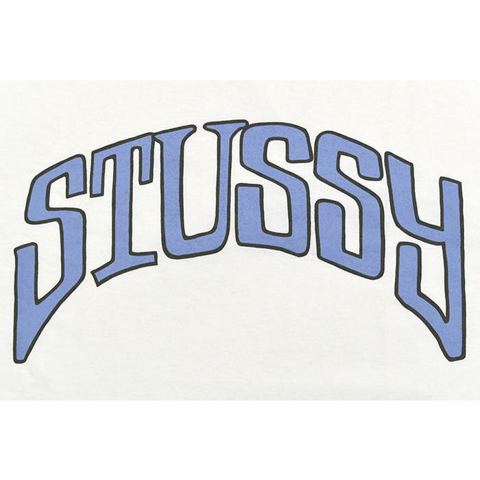STUSSY（ステューシー） Tシャツ 半袖 メンズ Arched Pigment Dyed