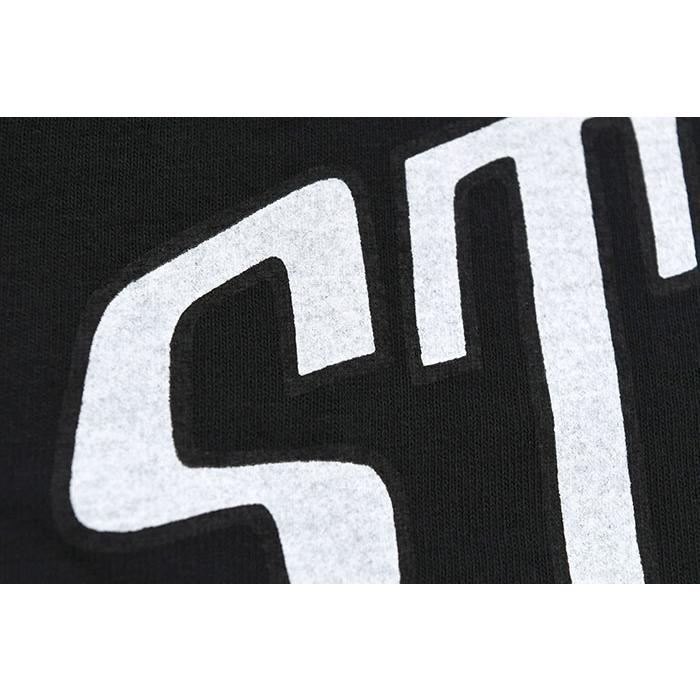 STUSSY ステューシー Tシャツ 半袖 メンズ Arched Pigment Dyed