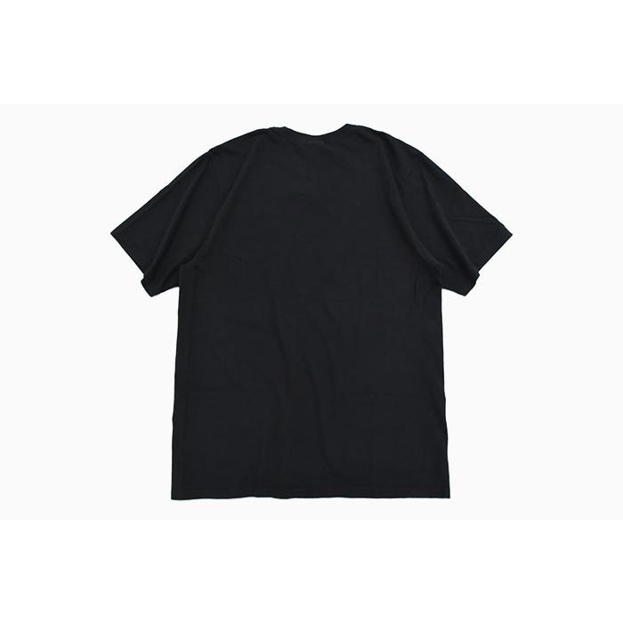 STUSSY ステューシー Tシャツ 半袖 メンズ Arched Pigment Dyed