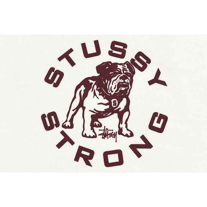STUSSY ステューシー Tシャツ 半袖 メンズ Strong Mac Pigment