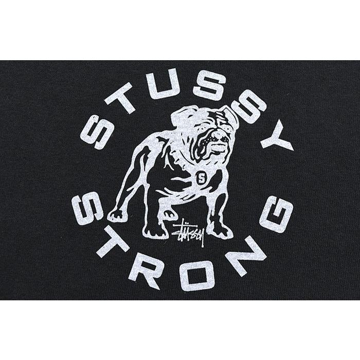 STUSSY ステューシー Tシャツ 半袖 メンズ Strong Mac Pigment