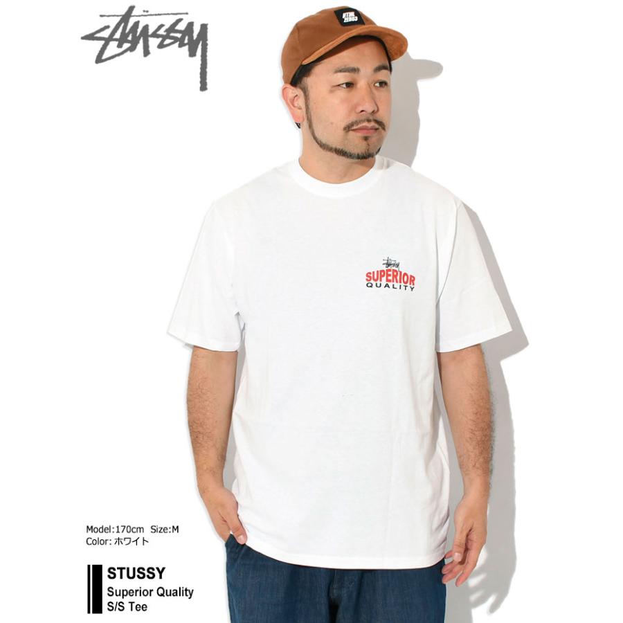 STUSSY ☆ 米国発 風合い豊かな 顔料染め サーフクラブ Tシャツ
