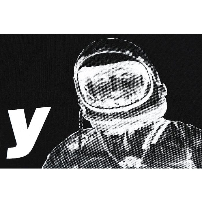 STUSSY ステューシー Tシャツ 半袖 メンズ Astronaut ( stussy