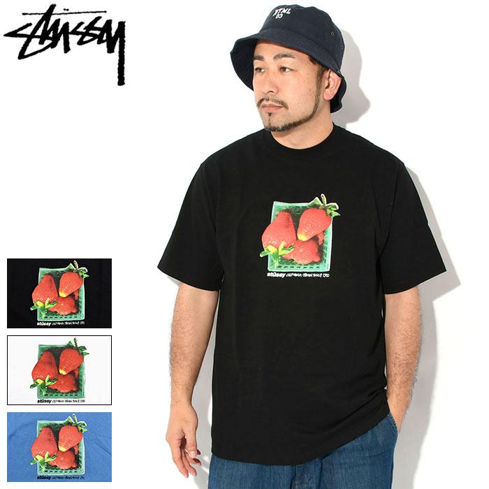 STUSSY BERRIES 半袖 Tシャツ 送料/関税込 STUSSY ステューシー Tシャツ 半袖 メンズ Berries ( stussy tee