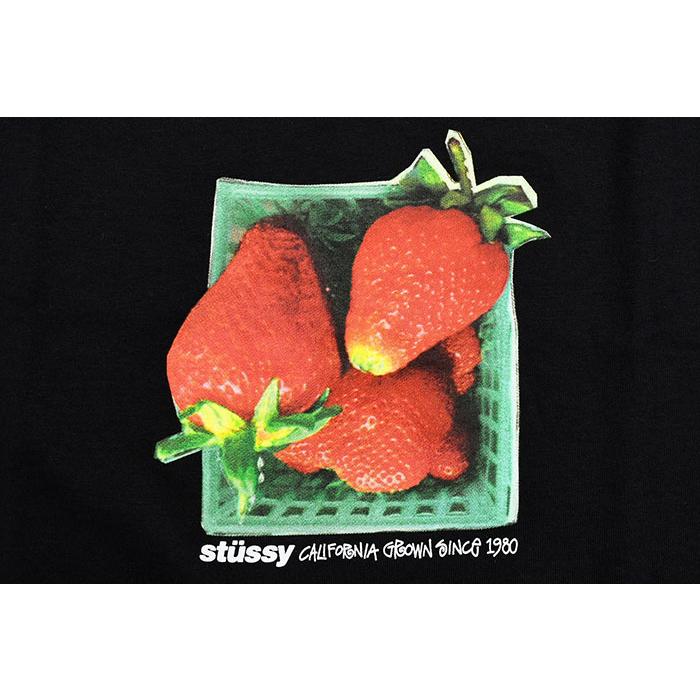 STUSSY（ステューシー） Tシャツ 半袖 メンズ Berries ( stussy tee T