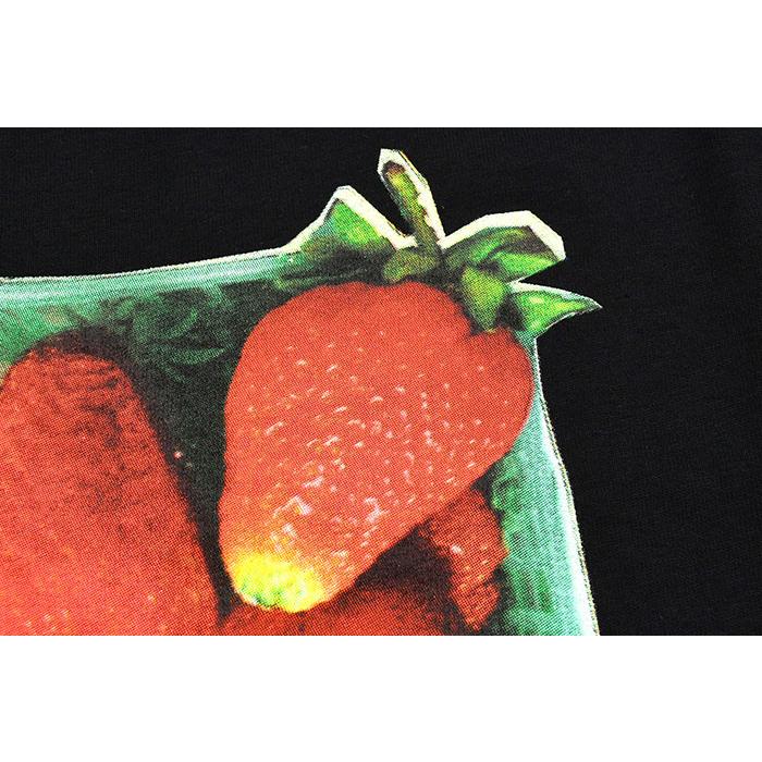 STUSSY（ステューシー） Tシャツ 半袖 メンズ Berries ( stussy tee T