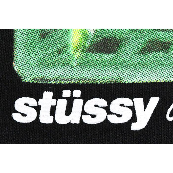 STUSSY ステューシー Tシャツ 半袖 メンズ Berries ( stussy tee