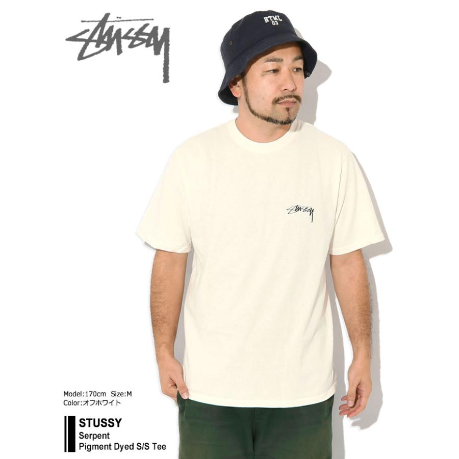 完売品　PIGMENT DYED SS THERMAL S サイズ STUSSY ステューシー Tシャツ 半袖 メンズ Serpent Pigment Dyed
