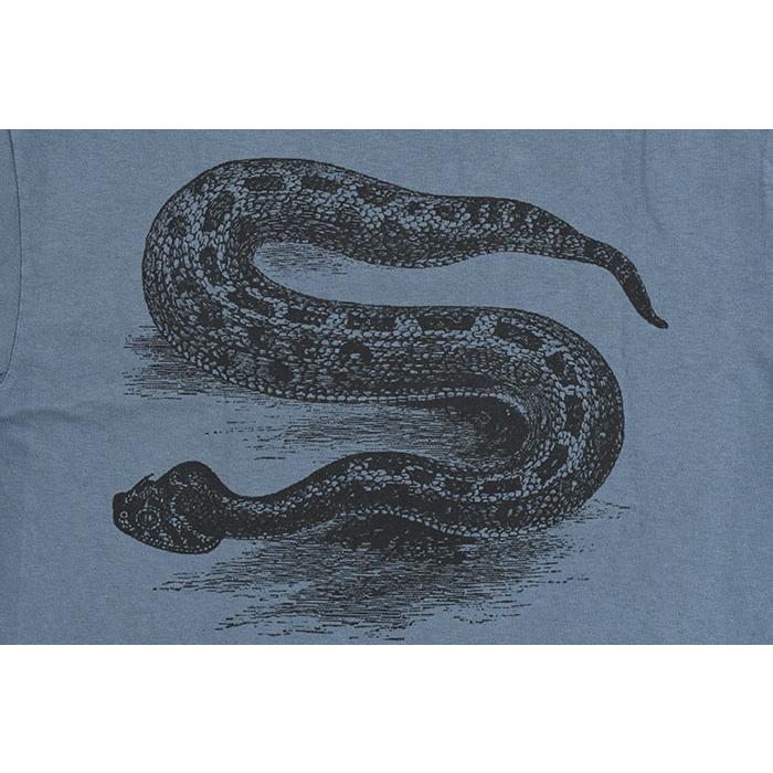 STUSSY（ステューシー） Tシャツ 半袖 メンズ Serpent Pigment Dyed