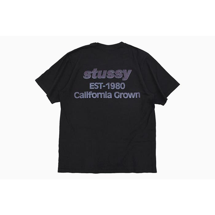 STUSSY（ステューシー） Tシャツ 半袖 メンズ California Grown