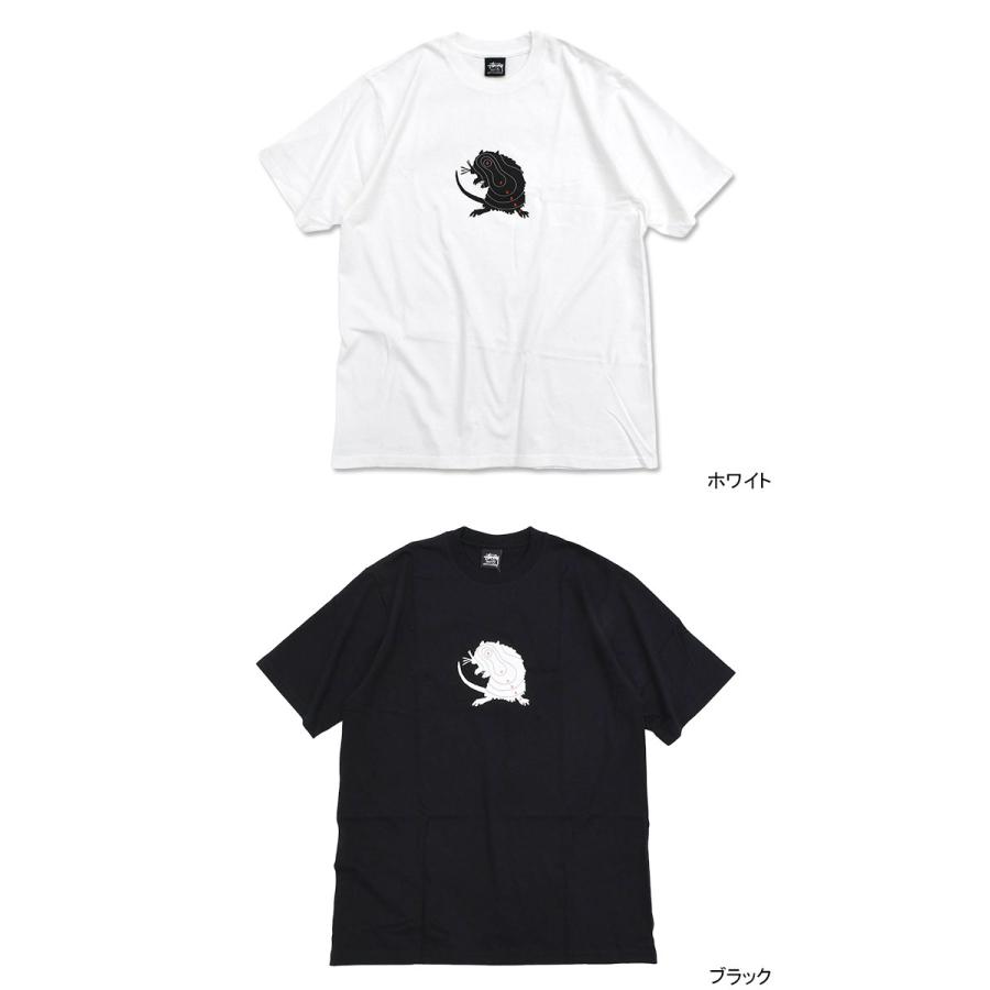 STUSSY（ステューシー） Tシャツ 半袖 メンズ Long Range ( stussy tee