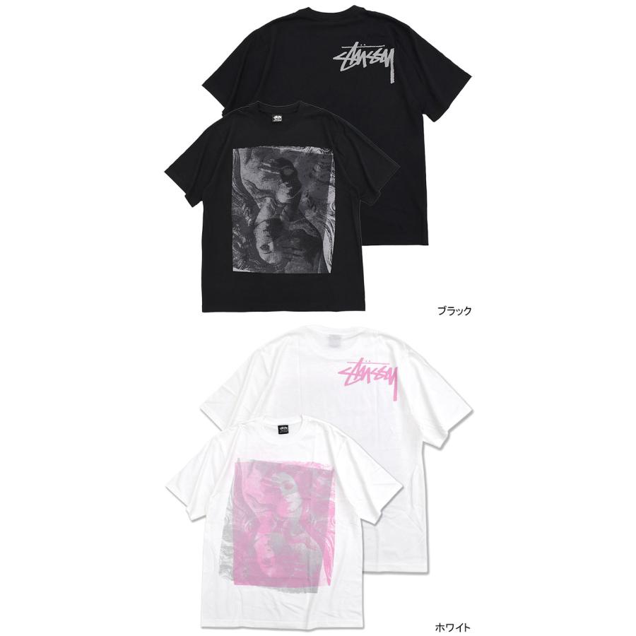 STUSSY（ステューシー） Tシャツ 半袖 メンズ Double Venus ( stussy