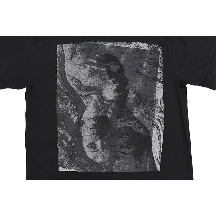 STUSSY（ステューシー） Tシャツ 半袖 メンズ Double Venus ( stussy