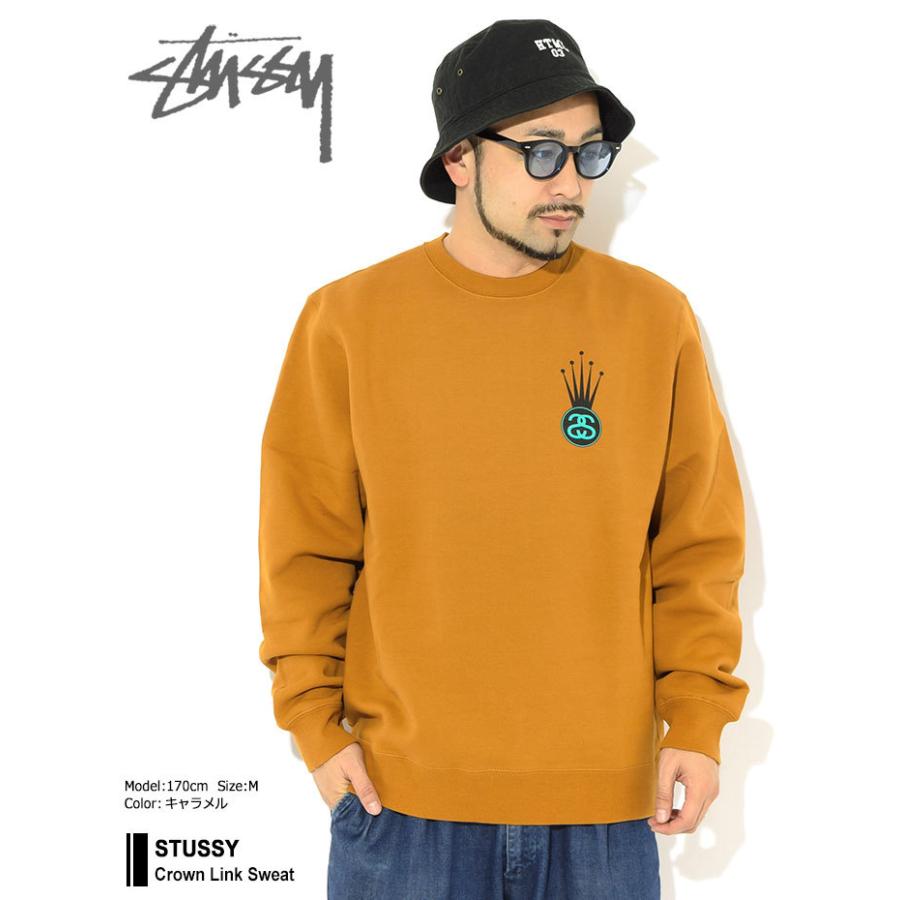 STUSSY AUTHENTIC ブラウン トレーナー 中古・古着通販】stussy (ステューシー) ロゴスウェット ブラウン