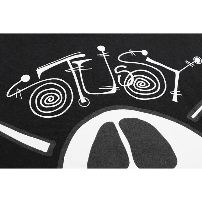 STUSSY（ステューシー） パーカー プルオーバー メンズ & レディース