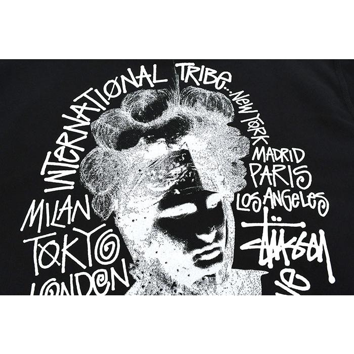 STUSSY（ステューシー） パーカー プルオーバー メンズ Camelot