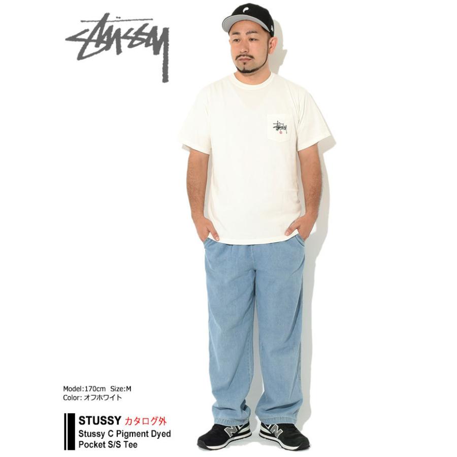 STUSSY（ステューシー） Tシャツ 半袖 メンズ Stussy C Pigment Dyed