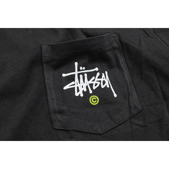 STUSSY（ステューシー） Tシャツ 半袖 メンズ Stussy C Pigment Dyed
