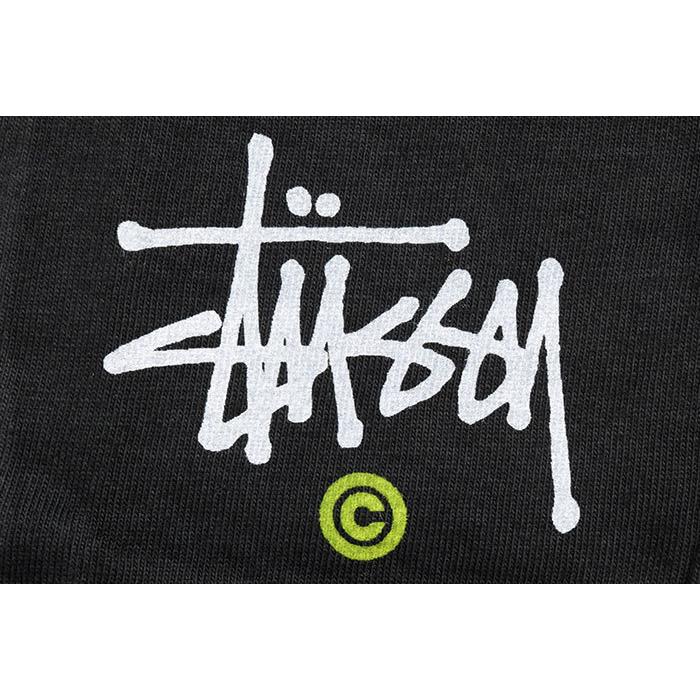 STUSSY（ステューシー） Tシャツ 半袖 メンズ Stussy C Pigment Dyed