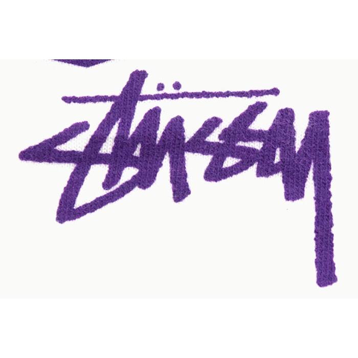 STUSSY（ステューシー） Tシャツ 長袖 メンズ Gecko Pigment Dyed