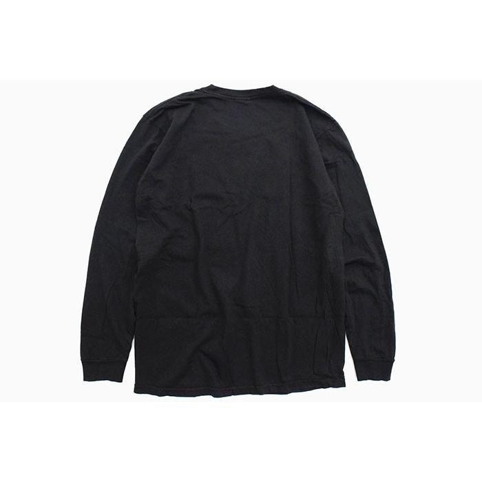 STUSSY ステューシー Tシャツ 長袖 メンズ Gecko Pigment Dyed