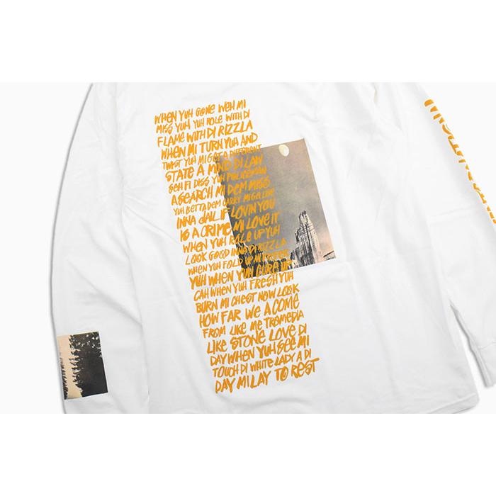 STUSSY（ステューシー） ロンT Tシャツ 長袖 メンズ Great Outdoors 