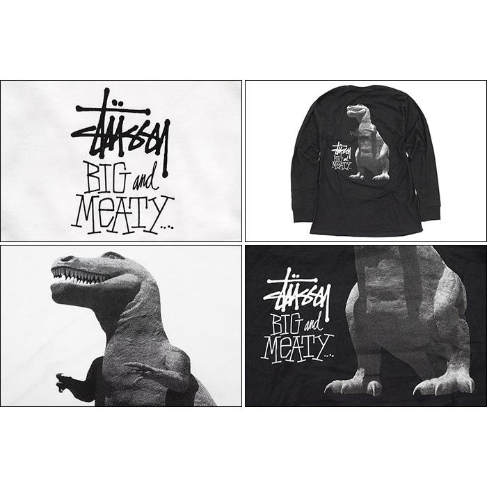 STUSSY（ステューシー） Tシャツ 長袖 メンズ Big & Meaty ( stussy
