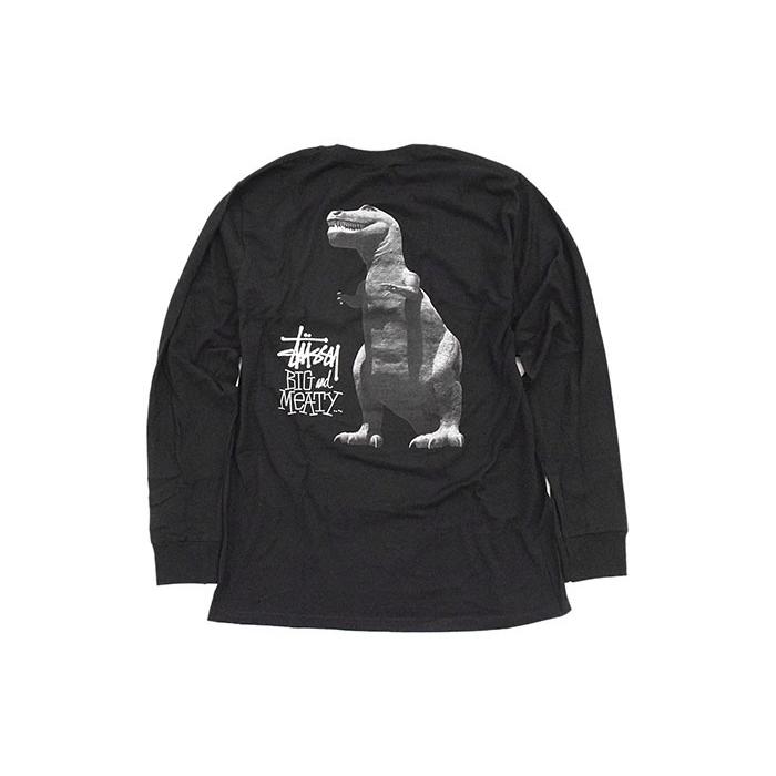 STUSSY（ステューシー） Tシャツ 長袖 メンズ Big & Meaty ( stussy