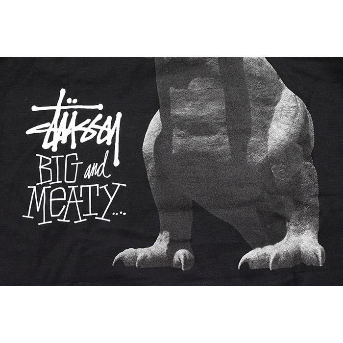 STUSSY（ステューシー） Tシャツ 長袖 メンズ Big & Meaty ( stussy
