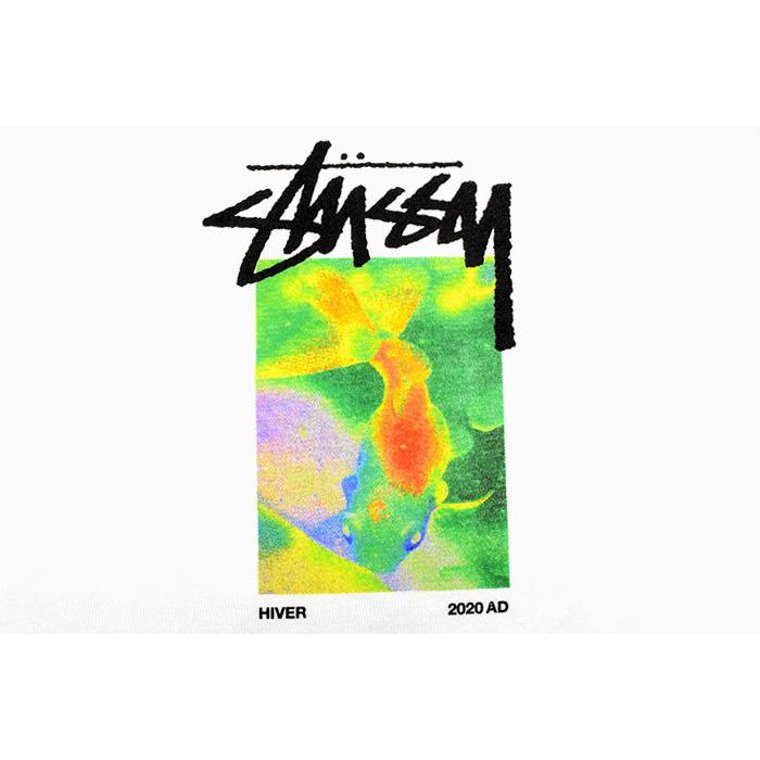 STUSSY ステューシー Tシャツ 長袖 メンズ Stonehenge ( stussy