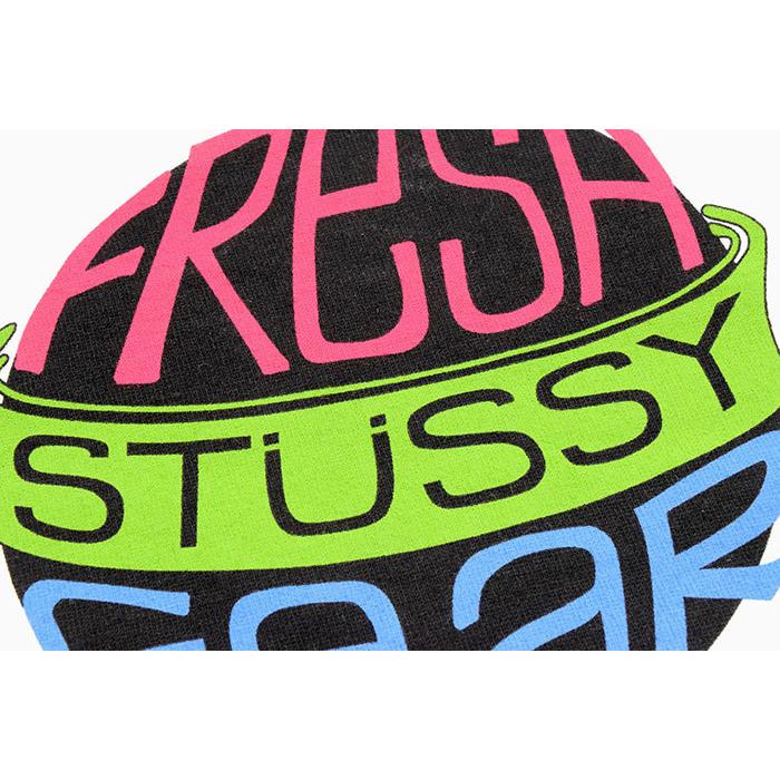 STUSSY ステューシー Tシャツ 長袖 メンズ Fresh Gear ( stussy