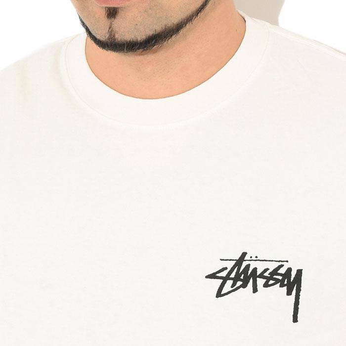 STUSSY（ステューシー） ロンT Tシャツ 長袖 メンズ Spring Weeds