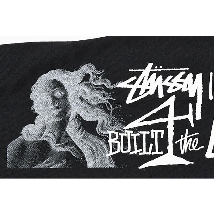STUSSY ステューシー ロンT Tシャツ 長袖 メンズ Long Haul