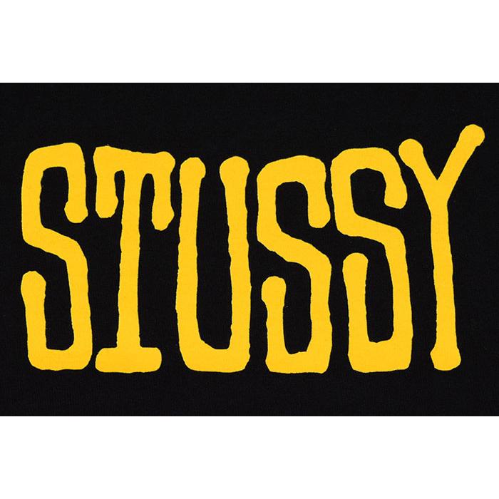 ステューシーウィメン ステューシー Tシャツ 半袖 STUSSY レディース
