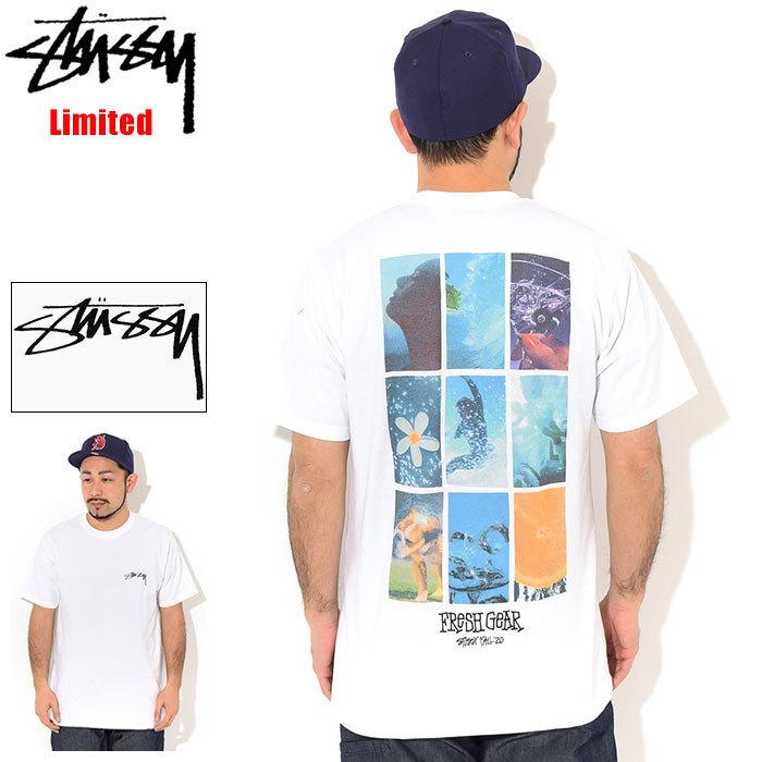 STUSSY ステューシー Tシャツ 半袖 メンズ Fall 20 Campaign