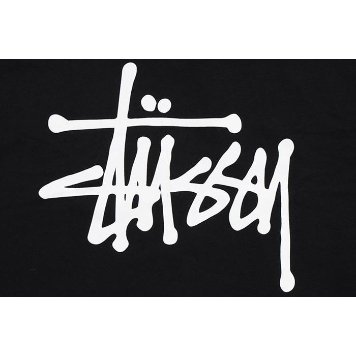 STUSSY ステューシー Tシャツ 半袖 メンズ & レディース Basic