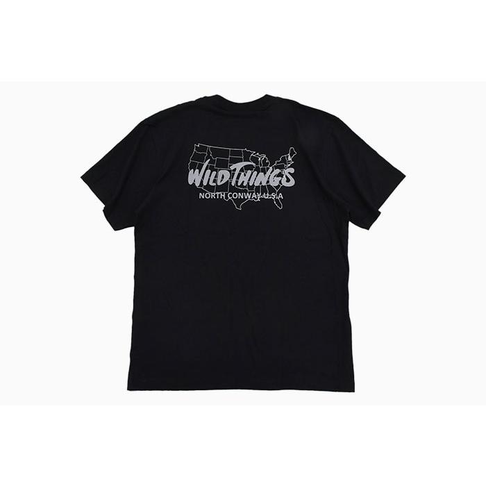 ワイルドシングス Tシャツ 半袖 WILD THINGS メンズ バース プレイス ( Birth Place S/S Tee カットソー トップス 男性用 WT24063K )[M便 1/1]｜icefield｜11