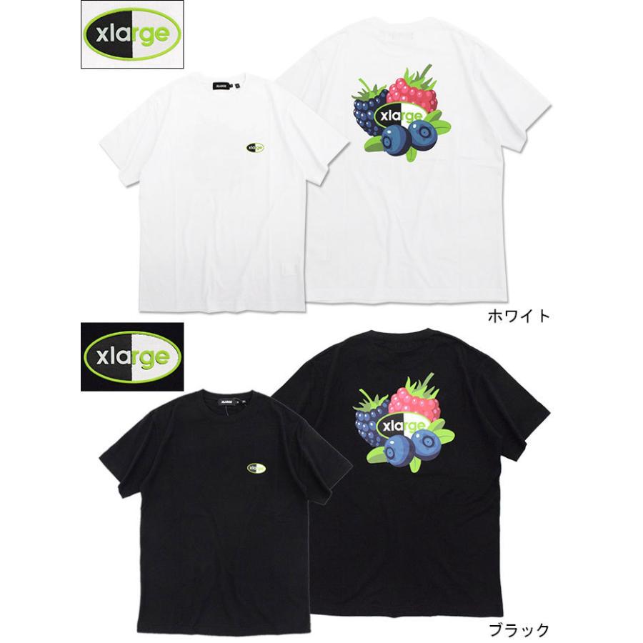 XLARGE（エクストラ ラージ） Tシャツ 半袖 X-LARGE メンズ フルーツ