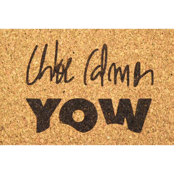 YOW（ヤウ） スケボー スケートボード コンプリート YOW 41インチ