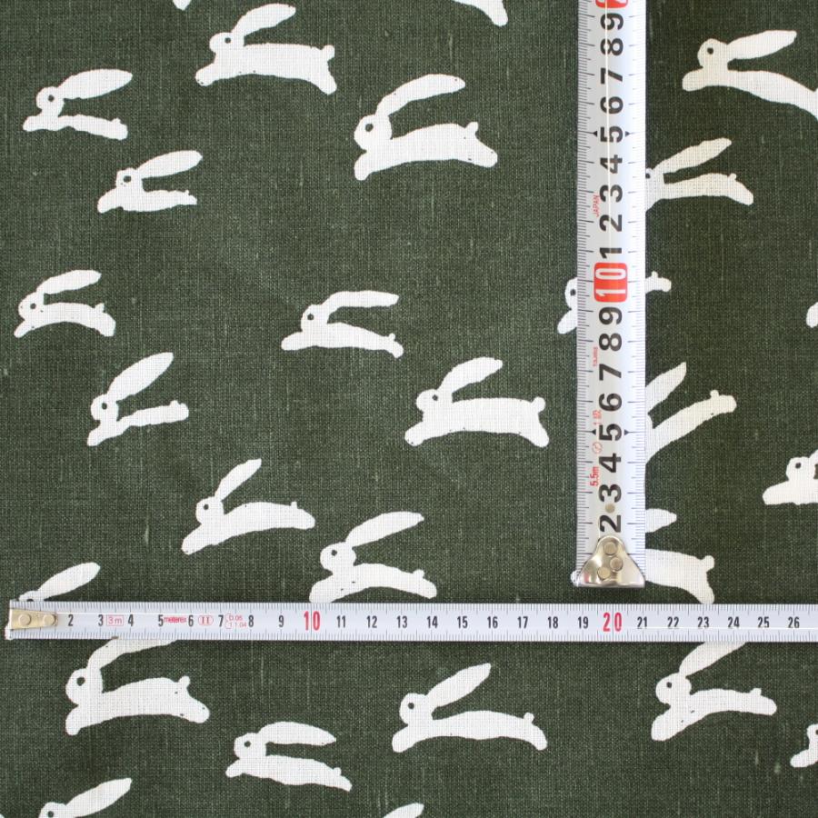 ファインリトルデイ 生地 布 MOGU TAKAHASHI ラビット ダークグリーン